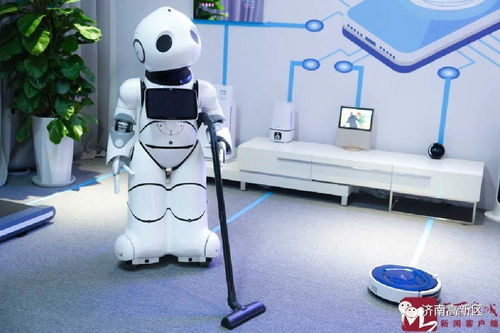 高新区舜华路街道 让人成为最美的风景